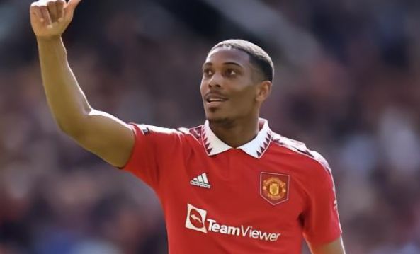 他们所带来 他们所带来