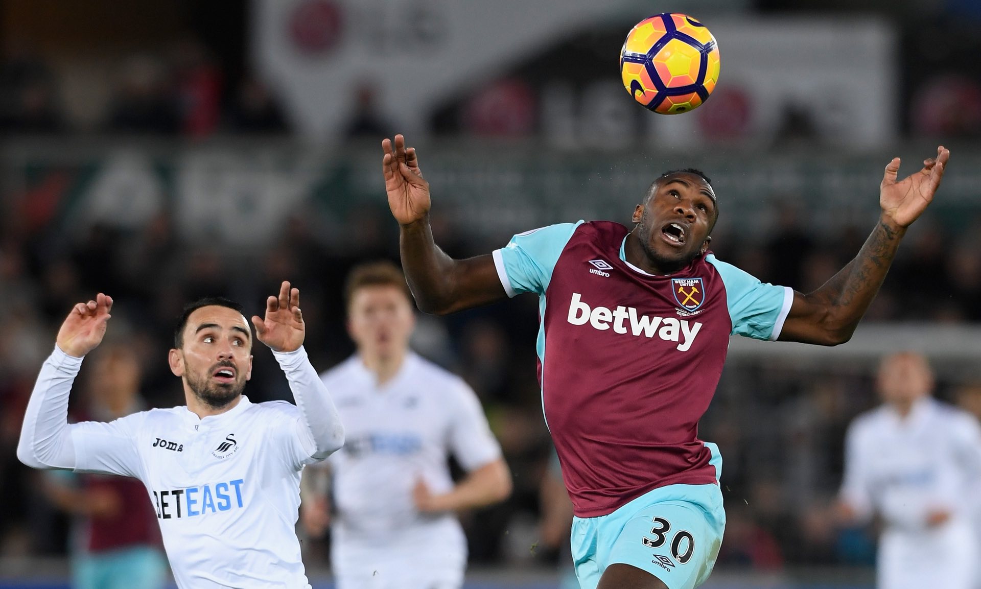 神扑背后的 神扑背后的